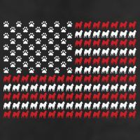 Husky Dog American Flag Patriotic 4th Of July Adult Drive Performance Visor