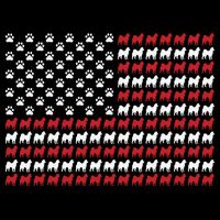 Husky Dog American Flag Patriotic 4th Of July 16 in Basic Backpack
