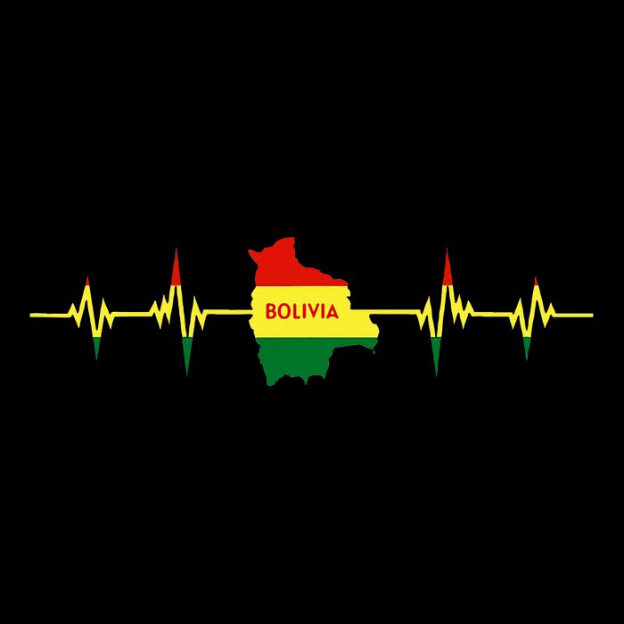 Heartbeat Design Bolivian Flag Bolivia Flat Bill Trucker Hat