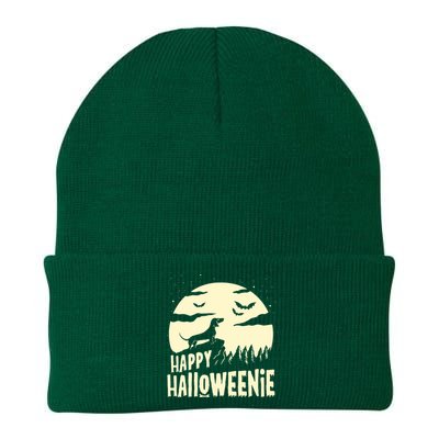 Halloween Dachshund Costume Dog Weiner Dog Moon Halloweenie Knit Cap Winter Beanie