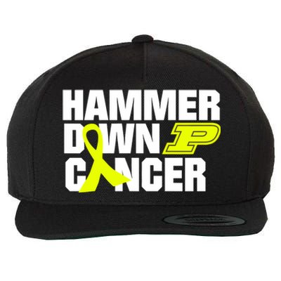 Hammer Down Cancer Wool Snapback Cap