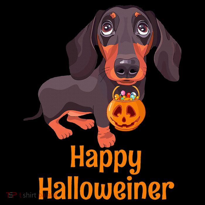 Halloween Dachshund Costume For Happy Halloweiner Stripe Pom Pom Beanie