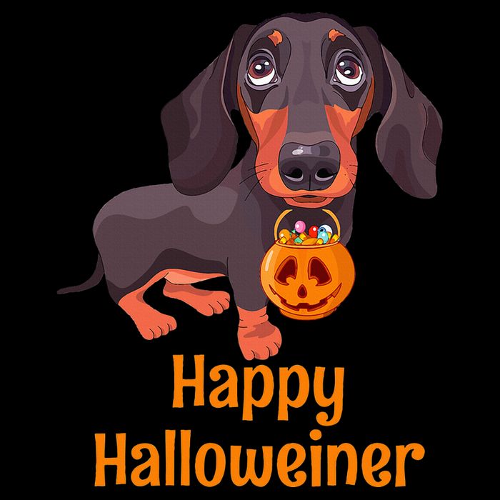 Halloween Dachshund Costume For Happy Halloweiner Drawstring Bag