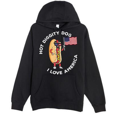 Hot Diggity Dog July 4th Patriotic BBQ Picnic USA Funny Premium Pullover Hoodie