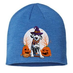 Halloween Dalmatian Dog Lovers Halloween Scary Pumpkin Moon Cool Gift Sustainable Beanie