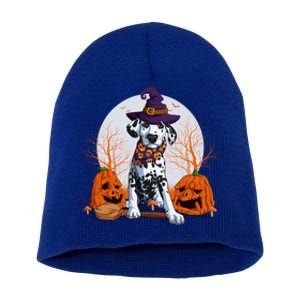 Halloween Dalmatian Dog Lovers Halloween Scary Pumpkin Moon Cool Gift Short Acrylic Beanie