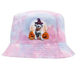 Halloween Dalmatian Dog Lovers Halloween Scary Pumpkin Moon Cool Gift Tie-Dyed Bucket Hat