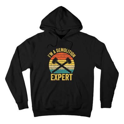 House Demolition Demolishing IM A Demolition Expert Hoodie