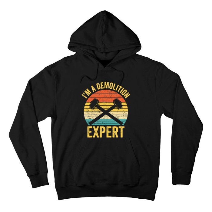 House Demolition Demolishing IM A Demolition Expert Hoodie