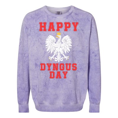 Happy Dyngus Day 2024 Dyngus Day Polska Polish White Eagle Polish Eagle Colorblast Crewneck Sweatshirt