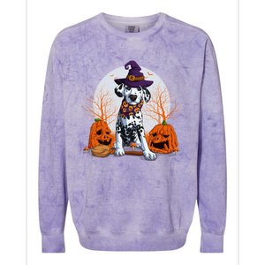 Halloween Dalmatian Dog Lovers Halloween Scary Pumpkin Moon Gift Colorblast Crewneck Sweatshirt