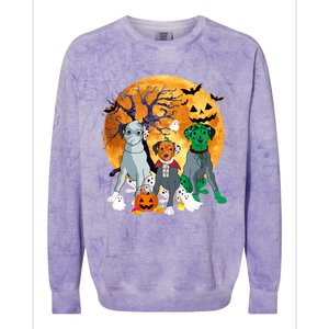 Halloween Dalmatian Dog Zombie Jack O Lantern Pumpkin Gift Colorblast Crewneck Sweatshirt