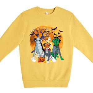 Halloween Dalmatian Dog Zombie Jack O Lantern Pumpkin Gift Premium Crewneck Sweatshirt