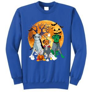 Halloween Dalmatian Dog Zombie Jack O Lantern Pumpkin Gift Tall Sweatshirt