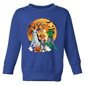 Halloween Dalmatian Dog Zombie Jack O Lantern Pumpkin Gift Toddler Sweatshirt