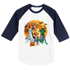 Halloween Dalmatian Dog Zombie Jack O Lantern Pumpkin Gift Baseball Sleeve Shirt