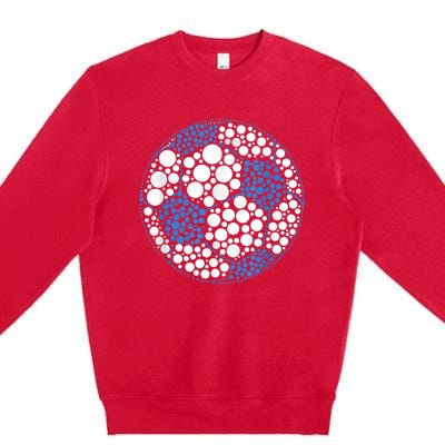 Happy Dot Day International Dot Day Polka Dot Soccer Premium Crewneck Sweatshirt