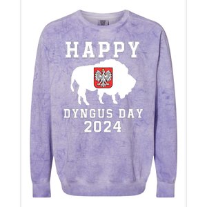 Happy Dyngus Day 2024 Dyngus Day Polish American Polska White Eagle Polish Eagle Colorblast Crewneck Sweatshirt