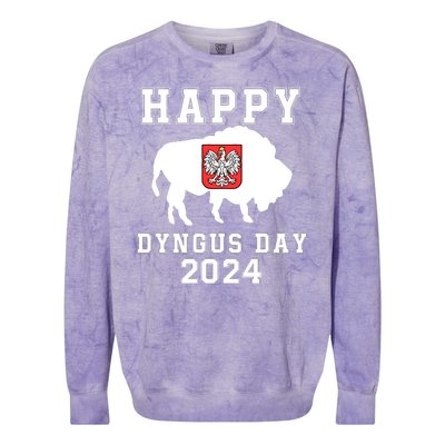 Happy Dyngus Day 2024 Dyngus Day Polish American Polska White Eagle Polish Eagle Colorblast Crewneck Sweatshirt