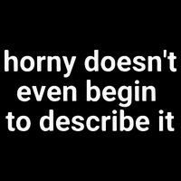 Horny Doesnt Even Begin To Describe It T-Shirt