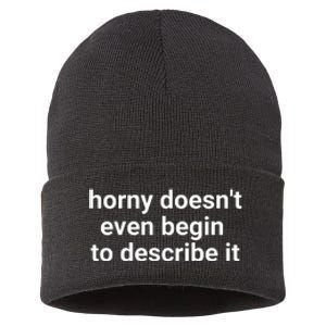 Horny Doesnt Even Begin To Describe It Sustainable Knit Beanie