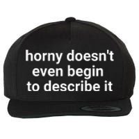 Horny Doesnt Even Begin To Describe It Wool Snapback Cap