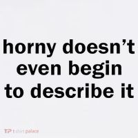 Horny Doesnt Even Begin To Describe It T-Shirt