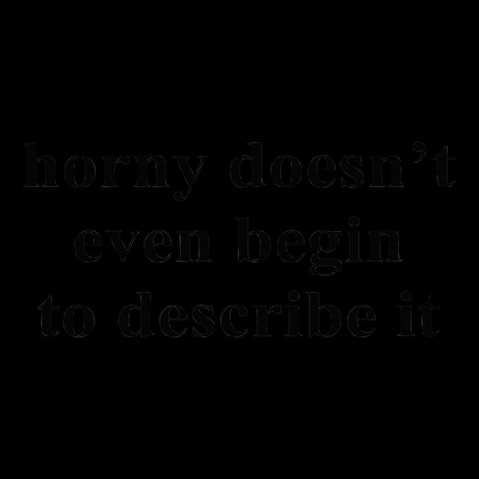 Horny Doesn’T Even Begin To Describe It 16oz Travel Tumbler