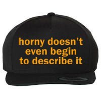 Horny Doesnt Even Begin To Describe It Wool Snapback Cap