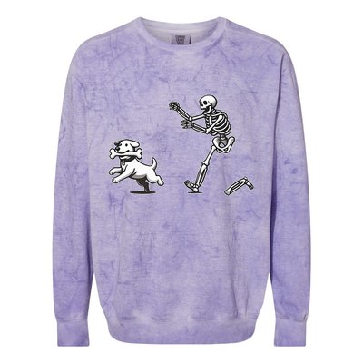 Halloween Dog Funny Skeleton Skeleton Chasing Dog Colorblast Crewneck Sweatshirt