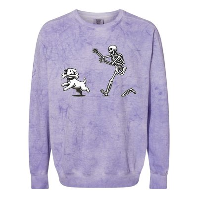 Halloween Dog Funny Skeleton Skeleton Chasing Dog Colorblast Crewneck Sweatshirt