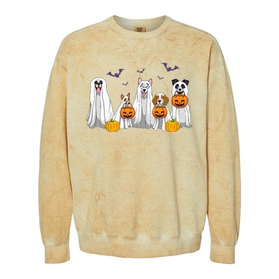 Halloween Dogs Ghost Pumpkins Spooky Colorblast Crewneck Sweatshirt