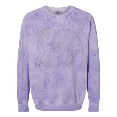 Hand Drawn Grizzly Bear Colorblast Crewneck Sweatshirt