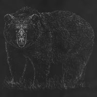 Hand Drawn Grizzly Bear Cool Comfort Performance Bucket Hat
