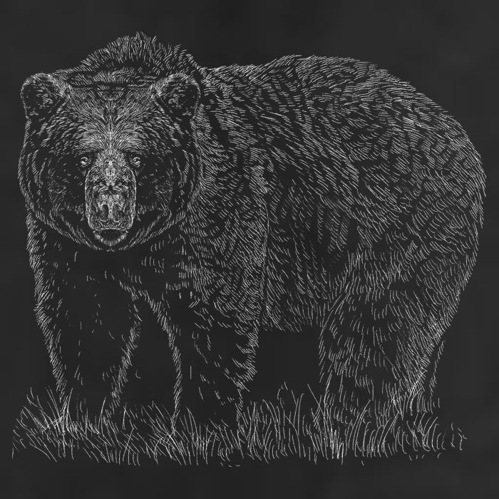 Hand Drawn Grizzly Bear Cool Comfort Performance Bucket Hat