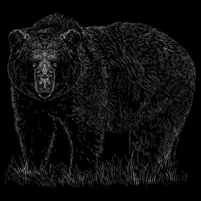 Hand Drawn Grizzly Bear T-Shirt