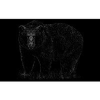 Hand Drawn Grizzly Bear Bumper Sticker