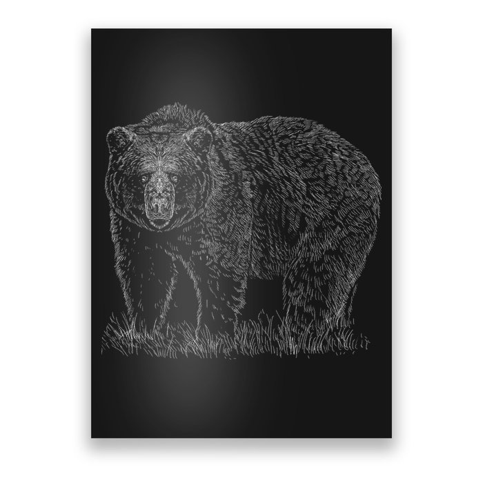 Hand Drawn Grizzly Bear Poster