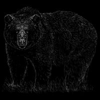 Hand Drawn Grizzly Bear Baby Bodysuit
