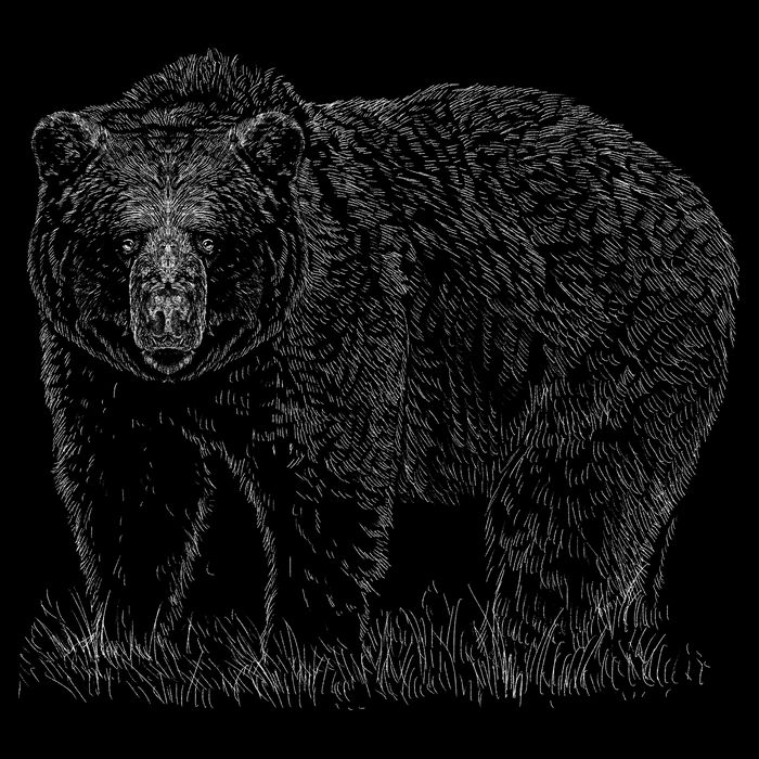 Hand Drawn Grizzly Bear Baby Bodysuit