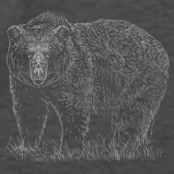 Hand Drawn Grizzly Bear Vector Backpack