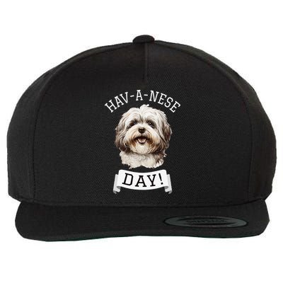 HavANese Day! Havanese Dog Lovers Funny Gift Wool Snapback Cap