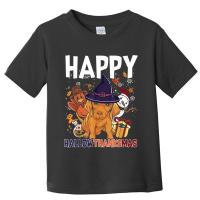 Hallothanksmas Dachshund Halloween Christmas Thanksgiving Toddler T-Shirt