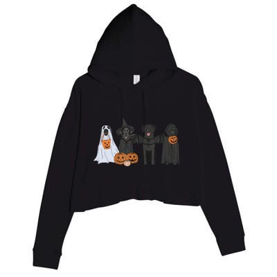 Black Labrador Halloween Ghost pumpkin  Crop Fleece Hoodie