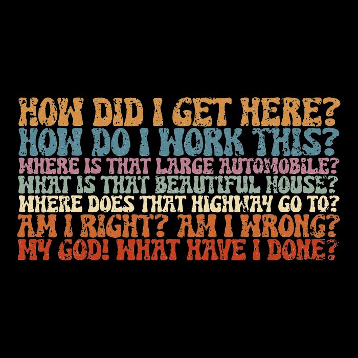 How Did I Get There Retro Things You May Ask Yourself T-Shirt