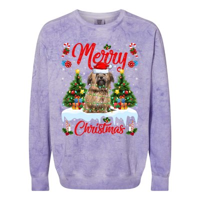 Havanese Dog Lights Xmas Tree Santa Havanese Christmas Great Gift Colorblast Crewneck Sweatshirt