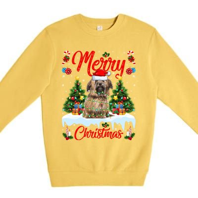 Havanese Dog Lights Xmas Tree Santa Havanese Christmas Great Gift Premium Crewneck Sweatshirt