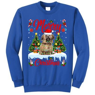 Havanese Dog Lights Xmas Tree Santa Havanese Christmas Great Gift Sweatshirt