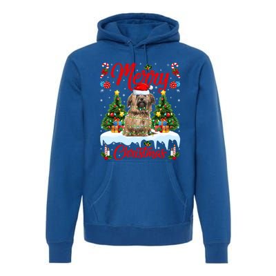 Havanese Dog Lights Xmas Tree Santa Havanese Christmas Great Gift Premium Hoodie