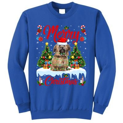 Havanese Dog Lights Xmas Tree Santa Havanese Christmas Great Gift Tall Sweatshirt